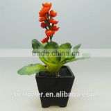 new style bonsai greenery for festival decoration