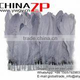 CHINAZP Factory Best Selling Cheap Trim Dyed Grey Goose Satinettes Trimming Feathers thumbnail-2