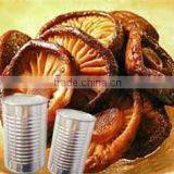 High Quality Canned Shiitake Mushroom Whole in 3kg thumbnail-1