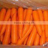 Tungsten Ring thumbnail-1