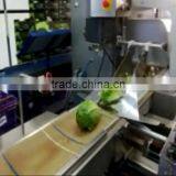 Multi-functional Fresh Aubergines Packing Machine/Flow Vegetable Wrapping Machine thumbnail-3