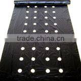 Agricultural Perforated Plastic Film Manufacturer thumbnail-4