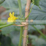 Paper Twist Tie With Plastic Net Bag thumbnail-3