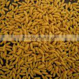 Instant Rice/Nutritional Rice Food /Artificial Rice Processing Line/machine thumbnail-2