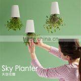 Creative Flower Pot Plastice Sky Planter Mini Sky Garden Hang Suspended Decorative Sky Planter New Design Indoor Sky Planter thumbnail-4