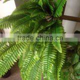 Indoor Artificial Fern Plant Decor for Dinosaur World Theme Park thumbnail-1