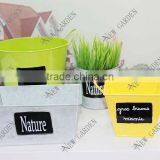 Decorative Metal Plant Pots With Two Ears Indoor for Sale Wholesale thumbnail-1