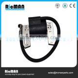 Ignition Replace Briggs and Stratton B&s Engine Spare Parts 794854 796964 thumbnail-1