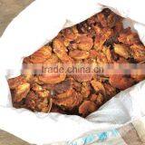 Indian Bael thumbnail-3