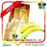 TPBI Taiwan Fruit Products Agriculture Product Wax Coating for Fruits and Vegetables thumbnail-1