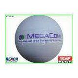 21cm Rubber / PVC Leather Volleyball Training Ball , Official Outdoor Volleyball