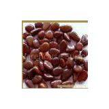 Landscape Natural Polished Pebble Stone thumbnail-2