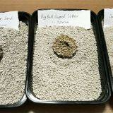 Rose/Lemon/Coffee Scent Flavor Bentonite Clay Cat Litter thumbnail-3