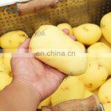 Custom Made French Fries Potato Chip Maker Potato Flakes Making Machine thumbnail-5