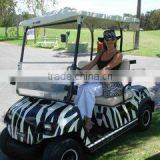 E-car Australasia Pty Ltd company overview - view 1 thumbnail