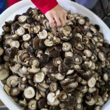 Canned PO-KU (Shiitake) Mushrooms thumbnail-2