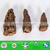 100% Wild Morel Mushroom/dried Morel/morchella