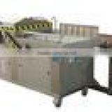 salted gherkin double chamber/automatic pendulum cover packing machine with CE certificate