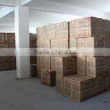 Wenling Blue Sky Plastic Shoes Co., Ltd. company overview - view 4 thumbnail