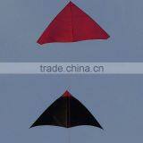3m Delta Kite