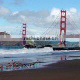 3d Lenticular Decorate Picture