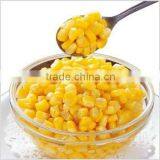 Fresh Corn for Sale Canned Sweet Corn Factory thumbnail-2