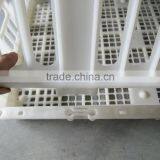 Chicken Cage for Live Poultry Farming thumbnail-3