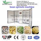 Bean Sprout Machine/green Bean Machine/soya Bean Mahcine thumbnail-6