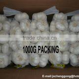 Shandong New Garlic Price of Sale thumbnail-6