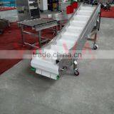 Small Inclined Belts Conveyor Systemfor Package Machines thumbnail-1