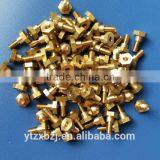 Oem High Quality and Lowest Price Brass Screw m4 Made in China thumbnail-6