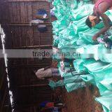 Coconut Rate Today thumbnail-5