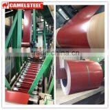 Rolled Galvanized Colored Coated Steel Coil PPGI thumbnail-6