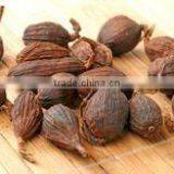 Vietnam Black Cardamom Supplier (Ms. Emma:+84965152844) thumbnail-4