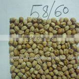 Chick Peas thumbnail-3