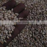 Safflower Seed thumbnail-5