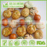 HACCP,ISO,BRC,HALAL Certification Japanese Style Peanuts With Best Quality and Hot Price thumbnail-3