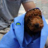 Wholesale Absorb Sweat Pva Chamois Towel Cloth thumbnail-2