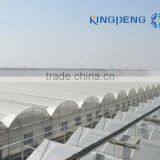 Multi Span Glass Greenhouse for Horticulture thumbnail-1