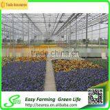 Commercial Used Rodent Roof Green House for Sale thumbnail-3