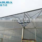 BLD Large Multi-span Plastic Film Greenhouse/agriculture Greenhouse thumbnail-5