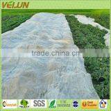 Agriculture Products--Vegetable Garden Covers/tunnel--Biodegradable Fabrics(WJ-AL-0076)