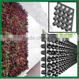 Cheap Flower Pots Hydroponic Systems Plastic Pots for Plants thumbnail-4