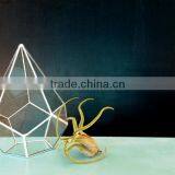 Geometric Stained Glass Planter Terrarium thumbnail-2