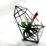 A Stained Geometric Crystal Terrarium thumbnail-3