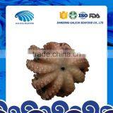 Frozen Variety Octopus Flower Type for Sale From Factory thumbnail-1