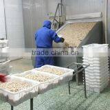 Frozen Boiled Clean Yellow Clam Skewer thumbnail-3