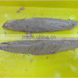 Double Clean Frozen Precooked Skipjack Tuna Loin thumbnail-2