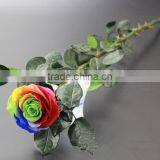 Good Quality Manufacture Quality Preserved Flower Gift Home Garden Decor thumbnail-1