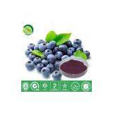 Blueberry Juice Powder thumbnail-1